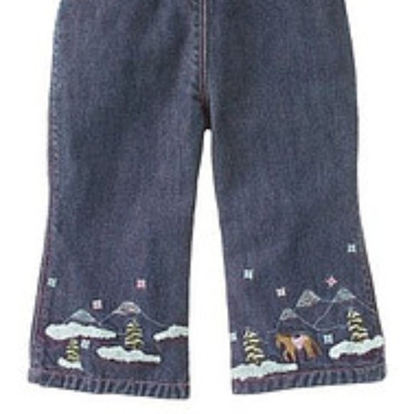 Gymboree Park City Luxe lined Jean's + accessories - Picture 14 of 16